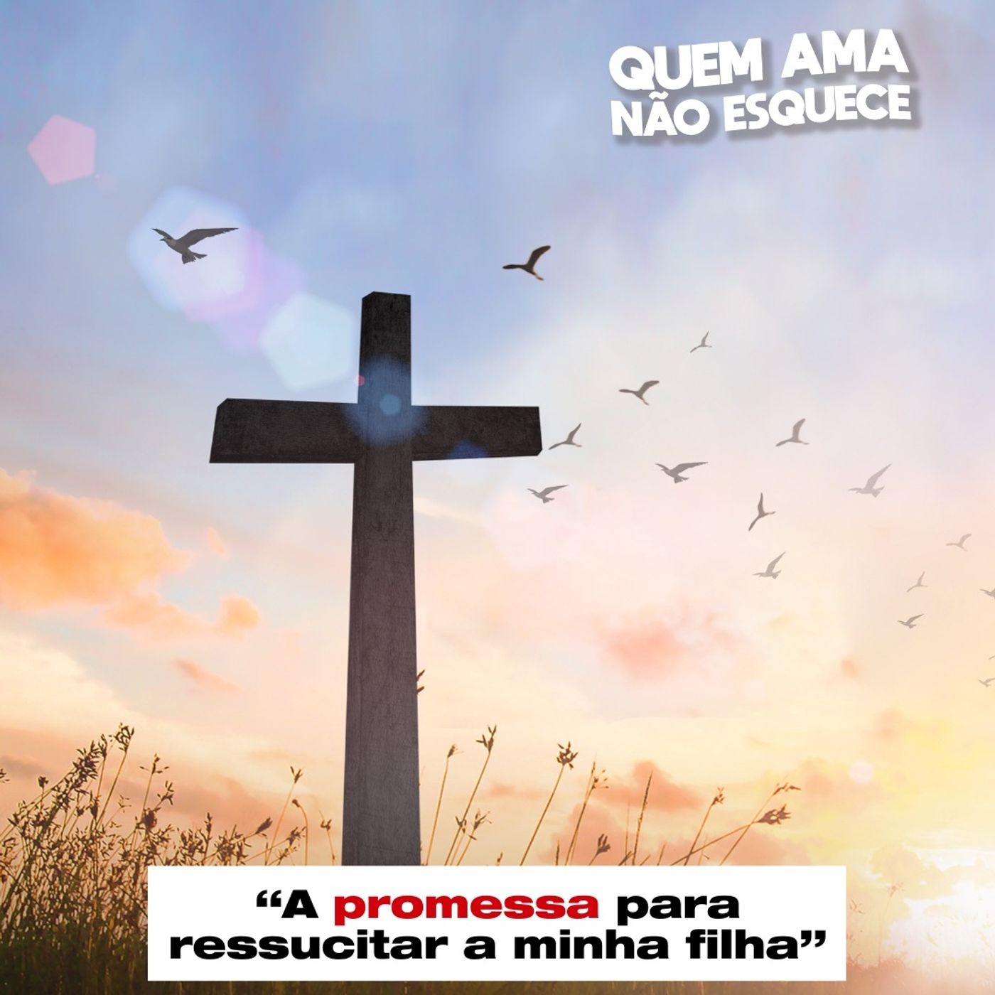 A PROMESSA PARA RESSUSCITAR A MINHA FILHA - HISTÓRIA DA TEREZA | QUEM AMA NÃO ESQUECE 30/07/2025 episode artwork