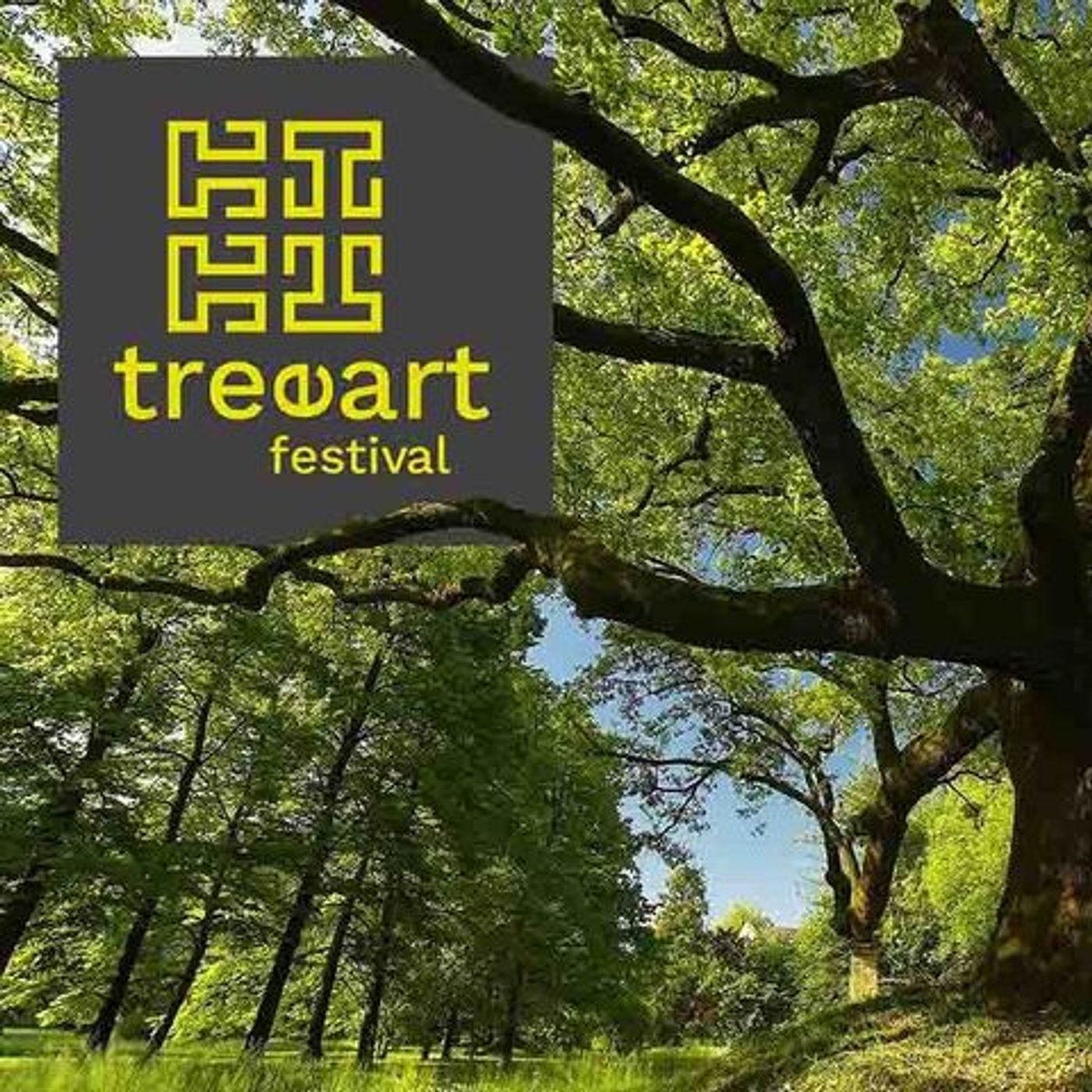 08/07/2025 - Alberi, natura e cultura in connessione per il TreeArt festival, con Patrizia Minen episode artwork