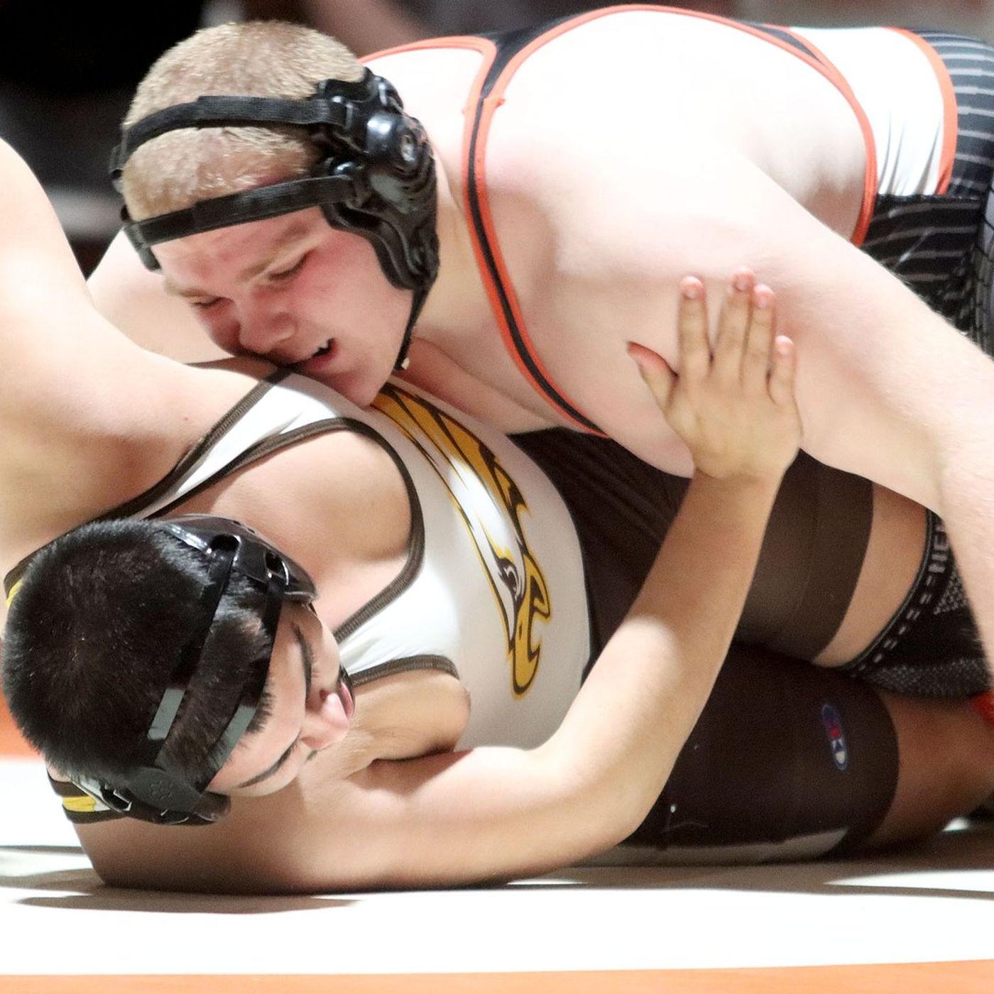 Northwest Herald - Shaw Local