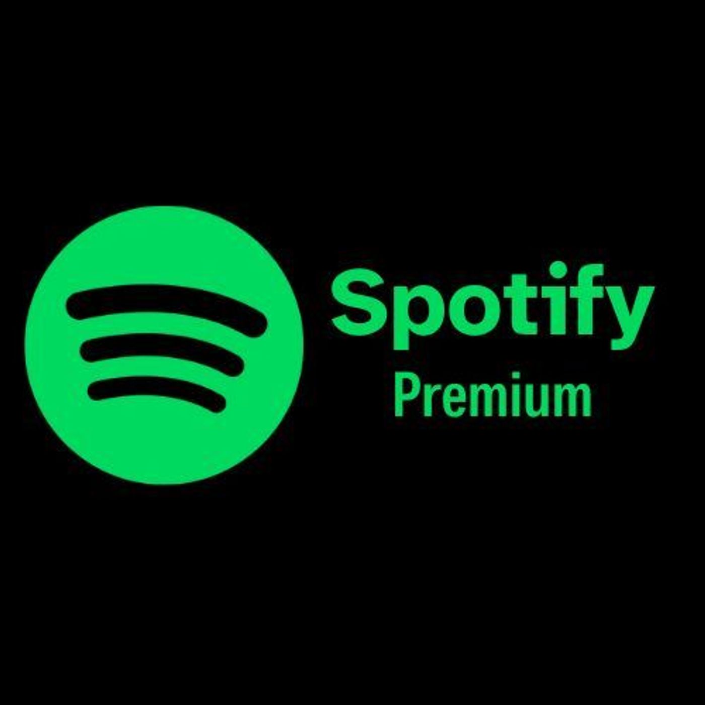spotify premium features