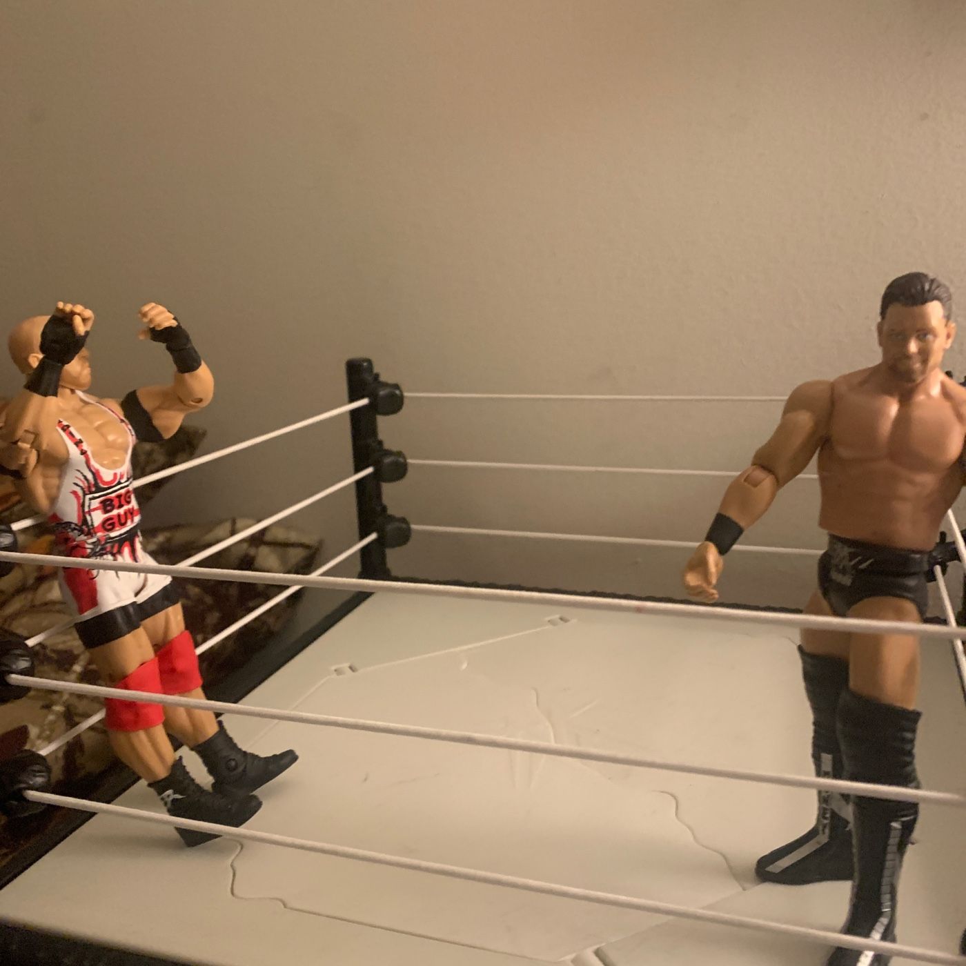 WWE STOP MOTION's show
