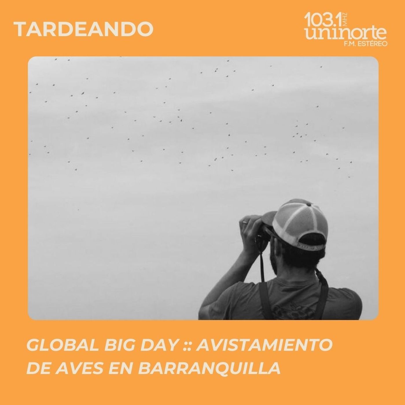Global Big Day :: Avistamiento de Aves en Barranquilla episode artwork