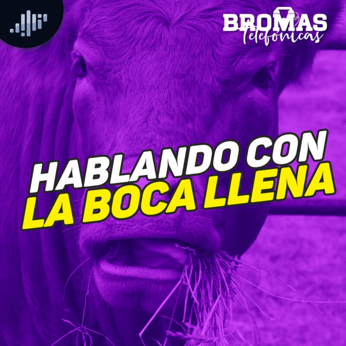 Bromas Telefónicas