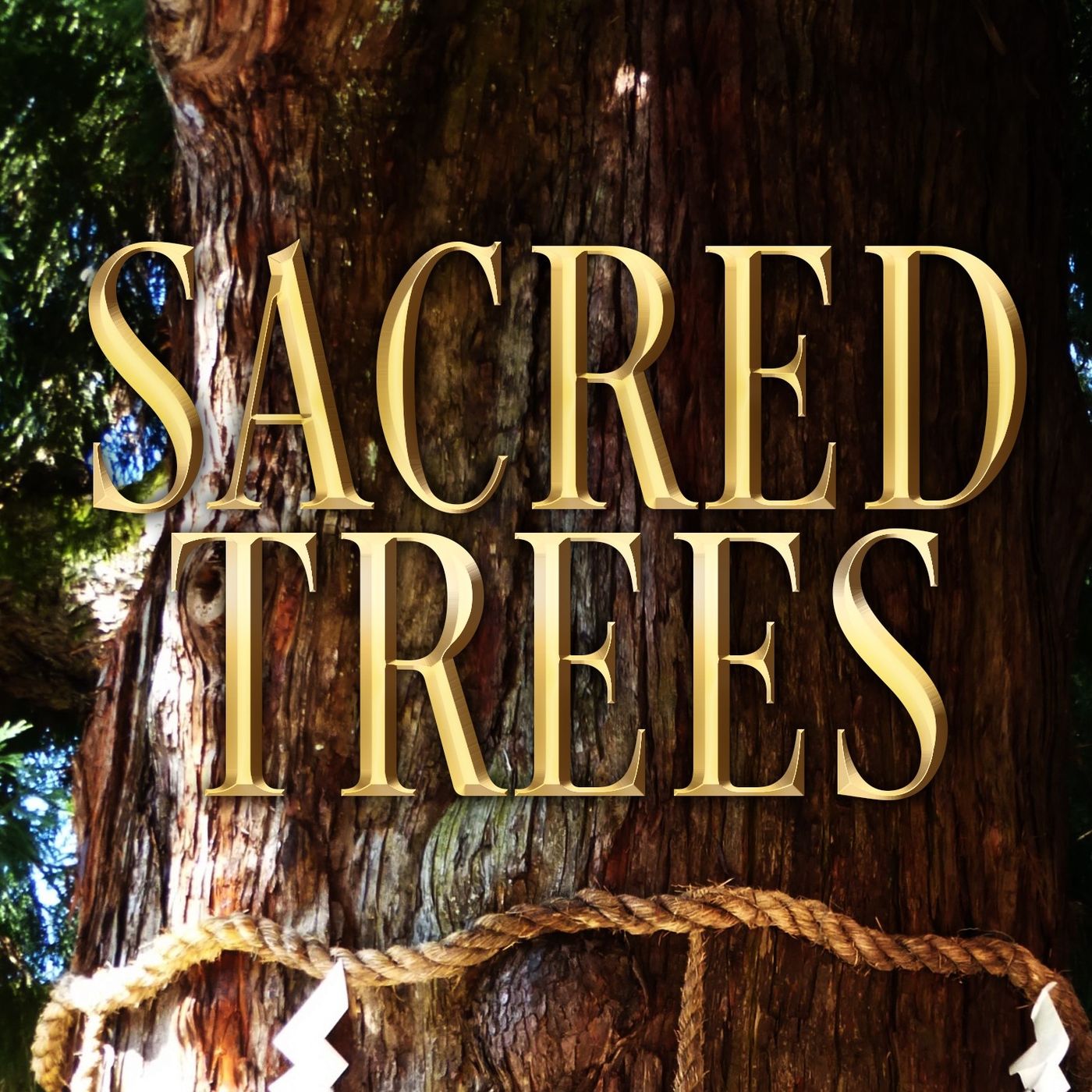 Rob McConnell Interviews - NATHANIEL ALTMAN - Sacred Trees