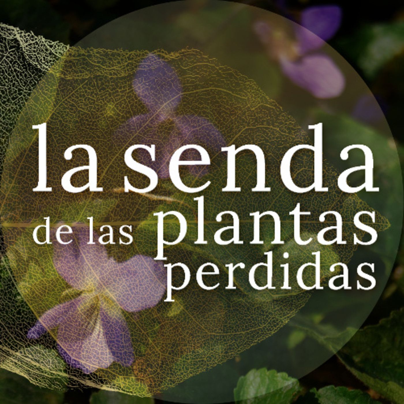 La Senda de las Plantas Perdidas
