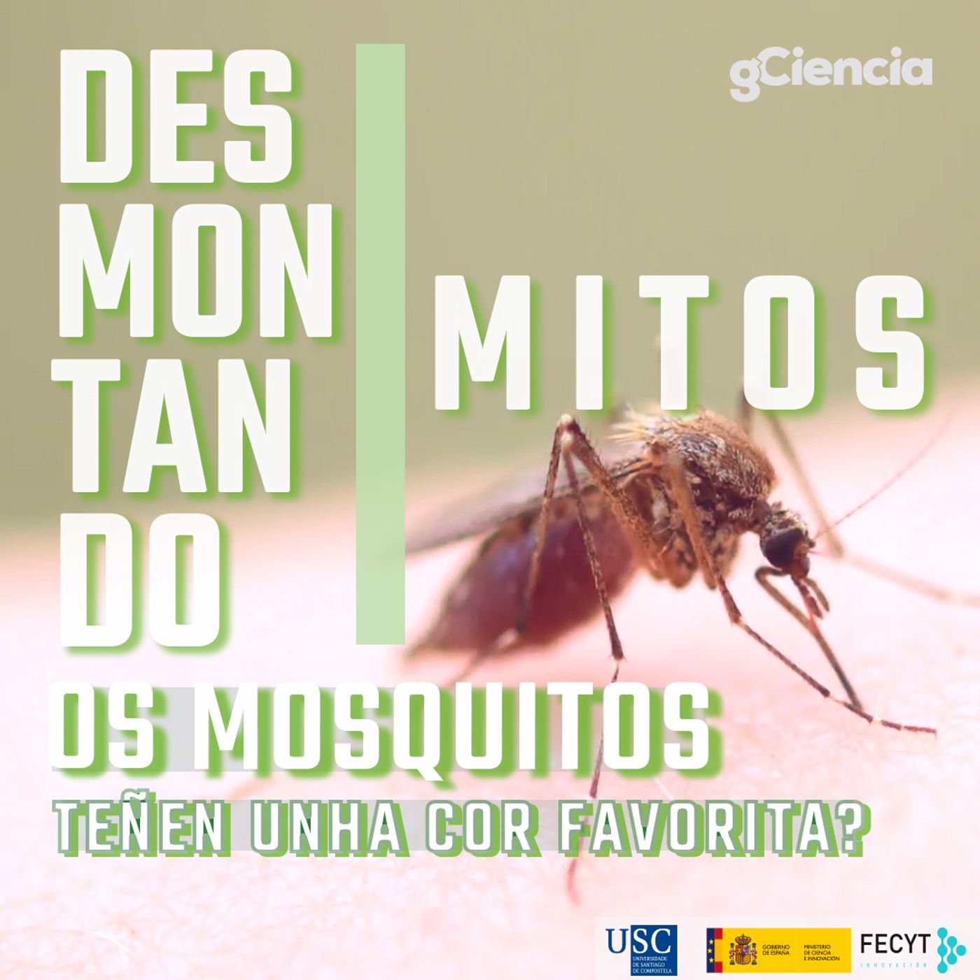 Desmontando Mitos