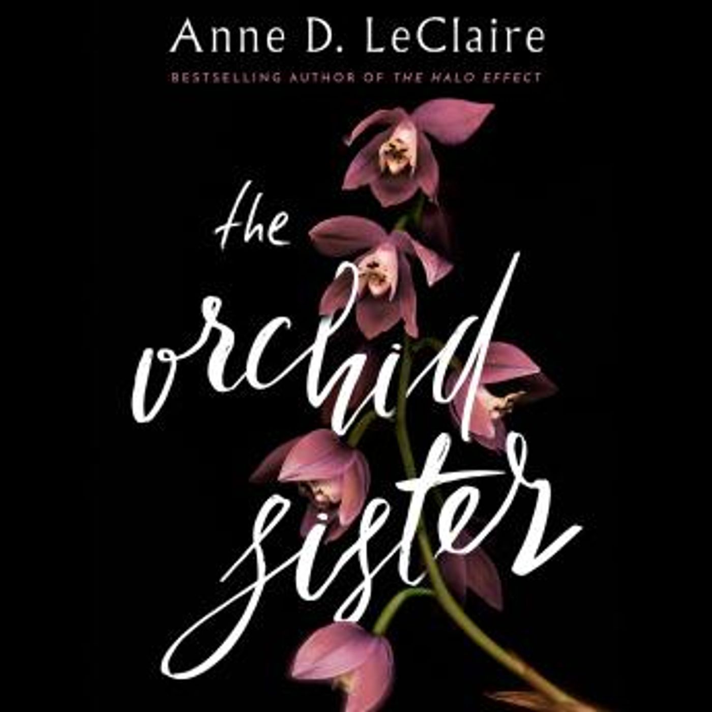 Listen to Top Full Audiobooks in Fiction, Contemporary Women