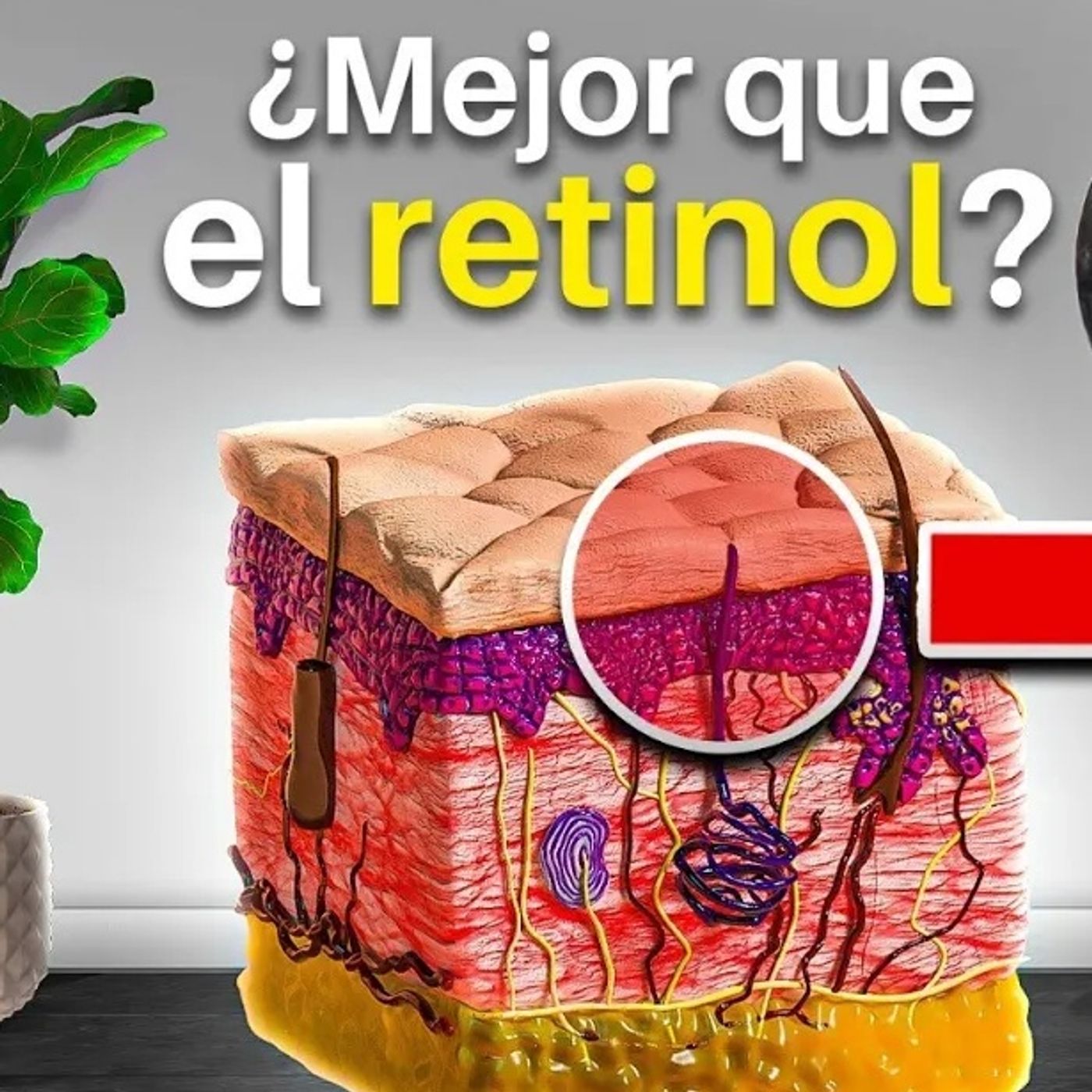 PIEL más TERSA y RADIANTE haciendo ESTA INTERVENCIÓN (Nuevo ESTUDIO)