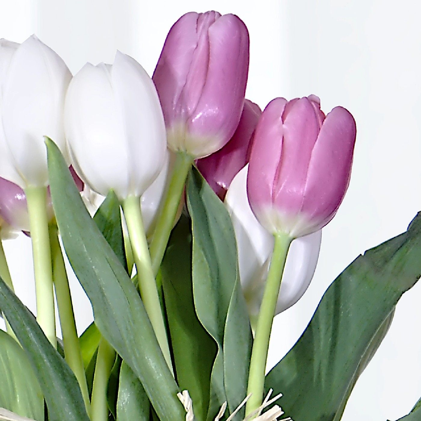 Se Libre De La Enfermedad