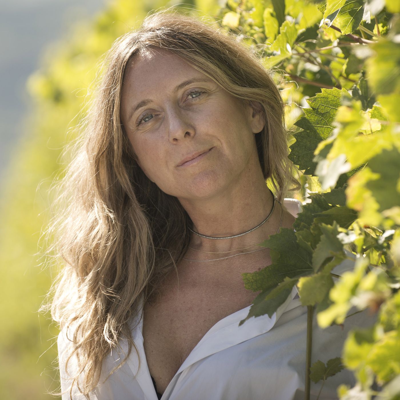 Maestri del vino italiano