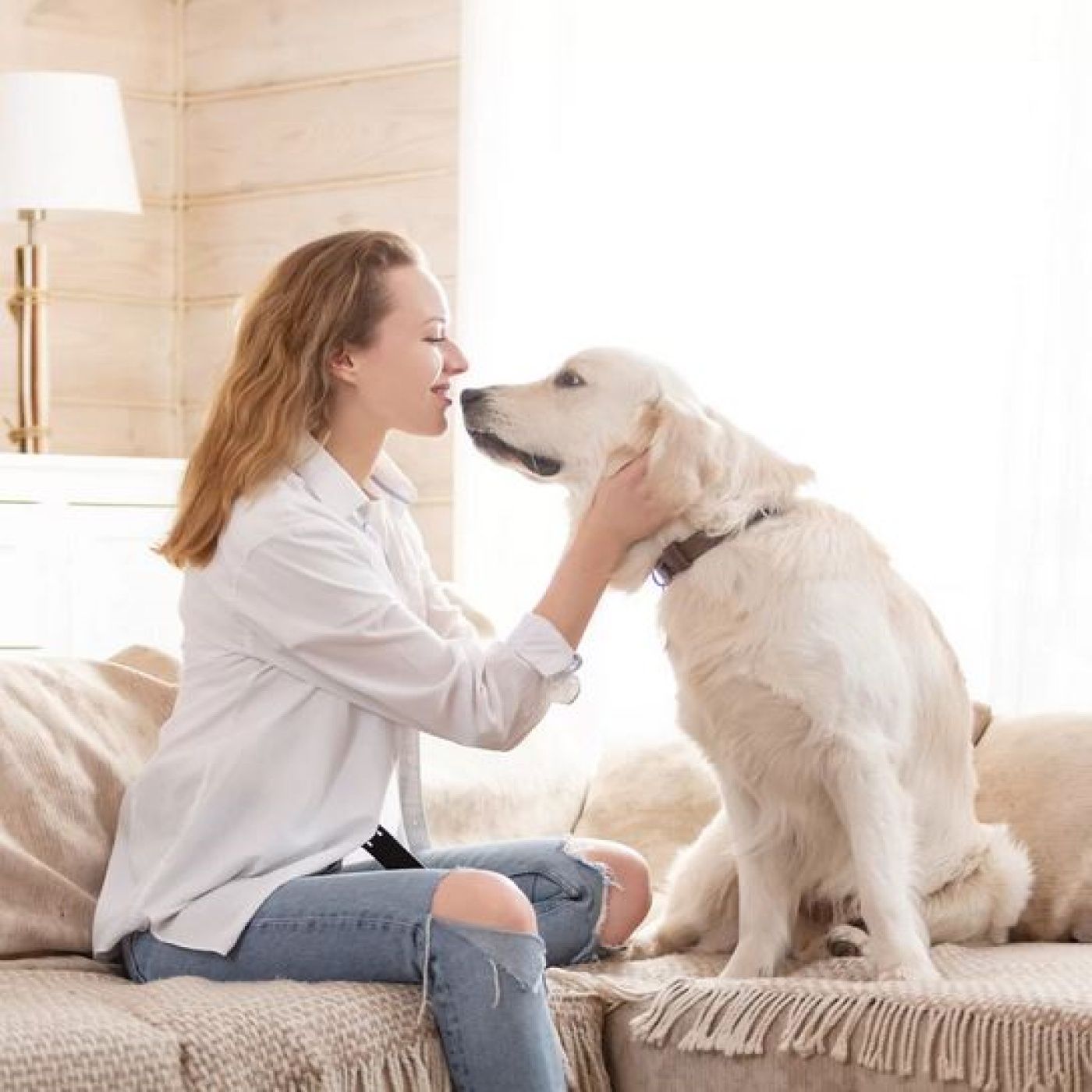 Teaching your Dog how to Sit