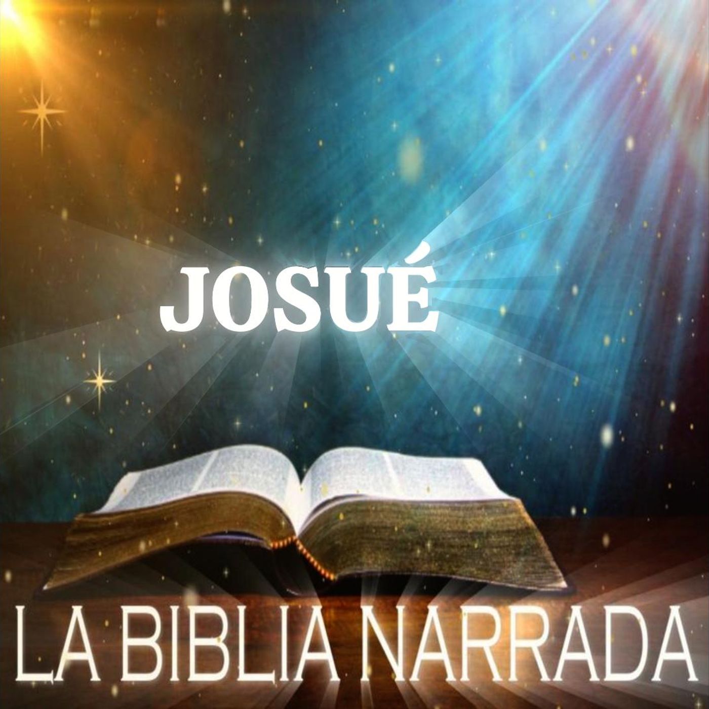 La Biblia Nueva Versión Internacional