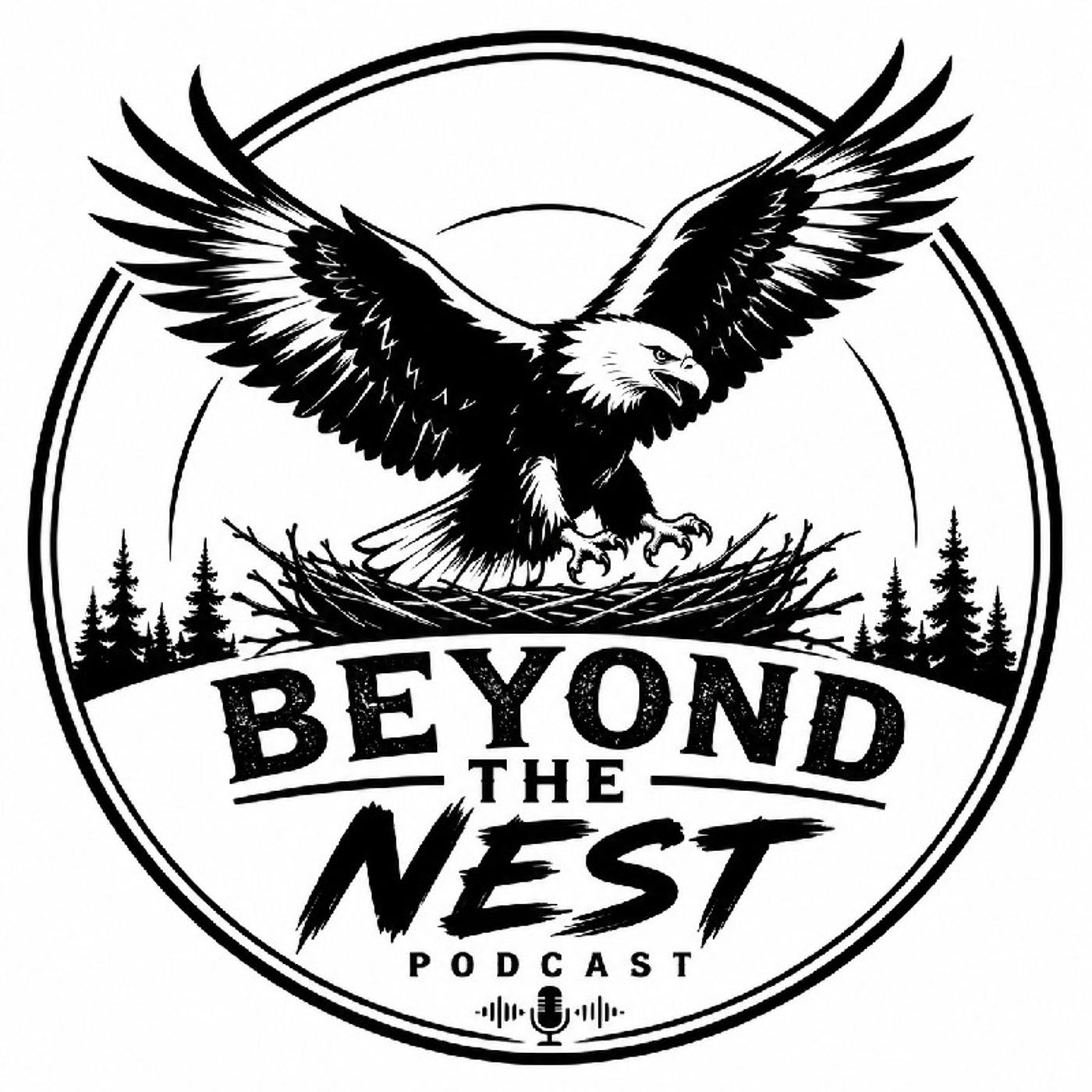 Episode 234 - Beyond the nest podcast episode artwork