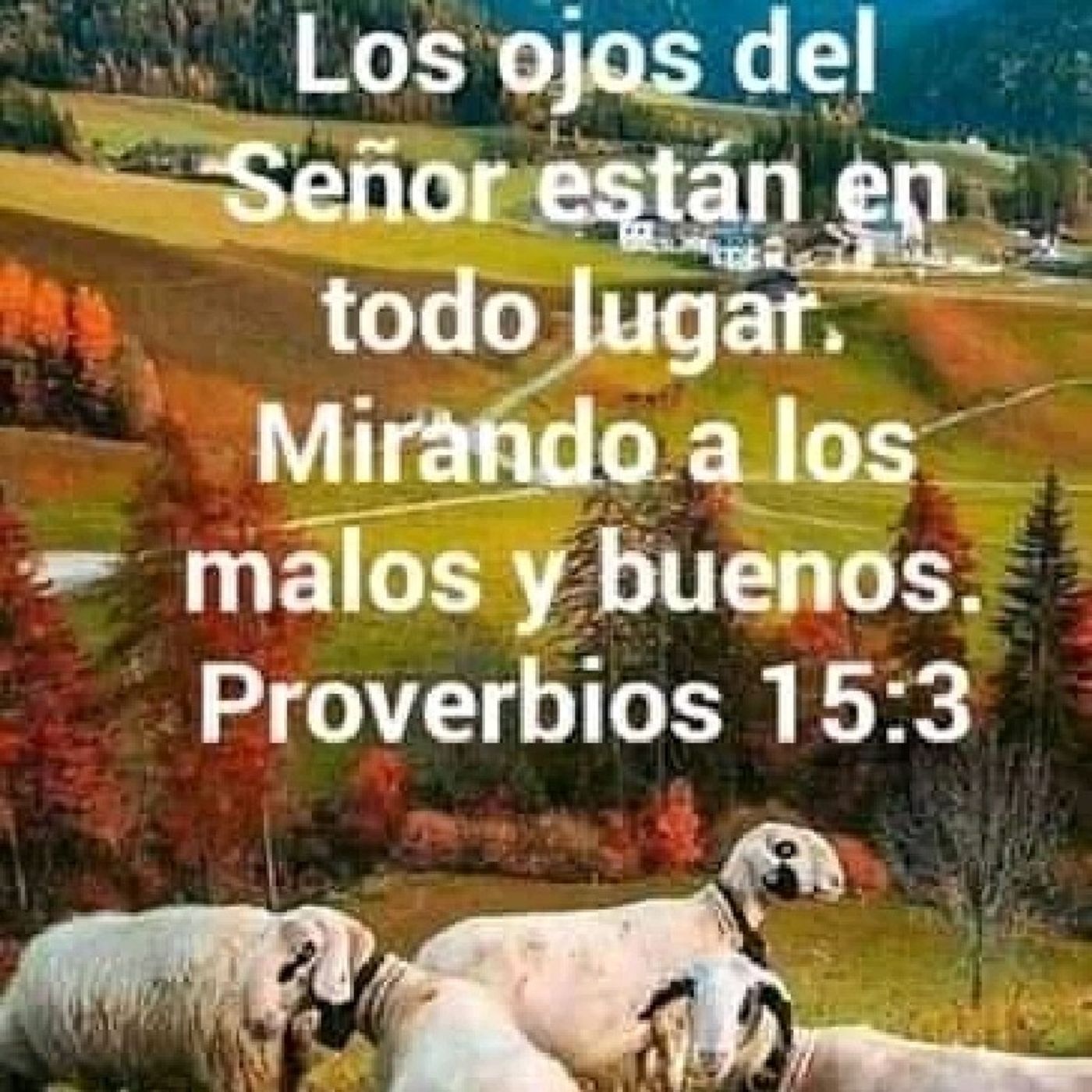 El show de Fernando David