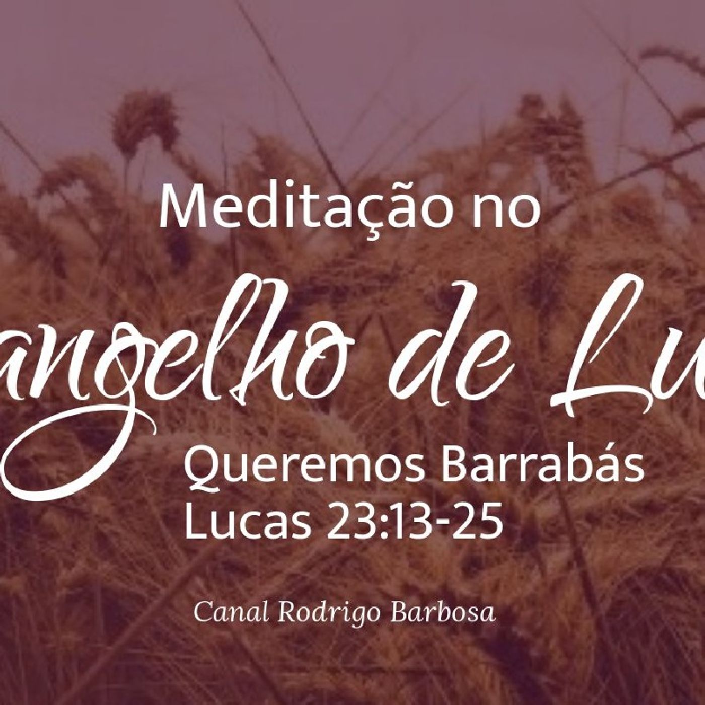 Rodrigo Barbosa