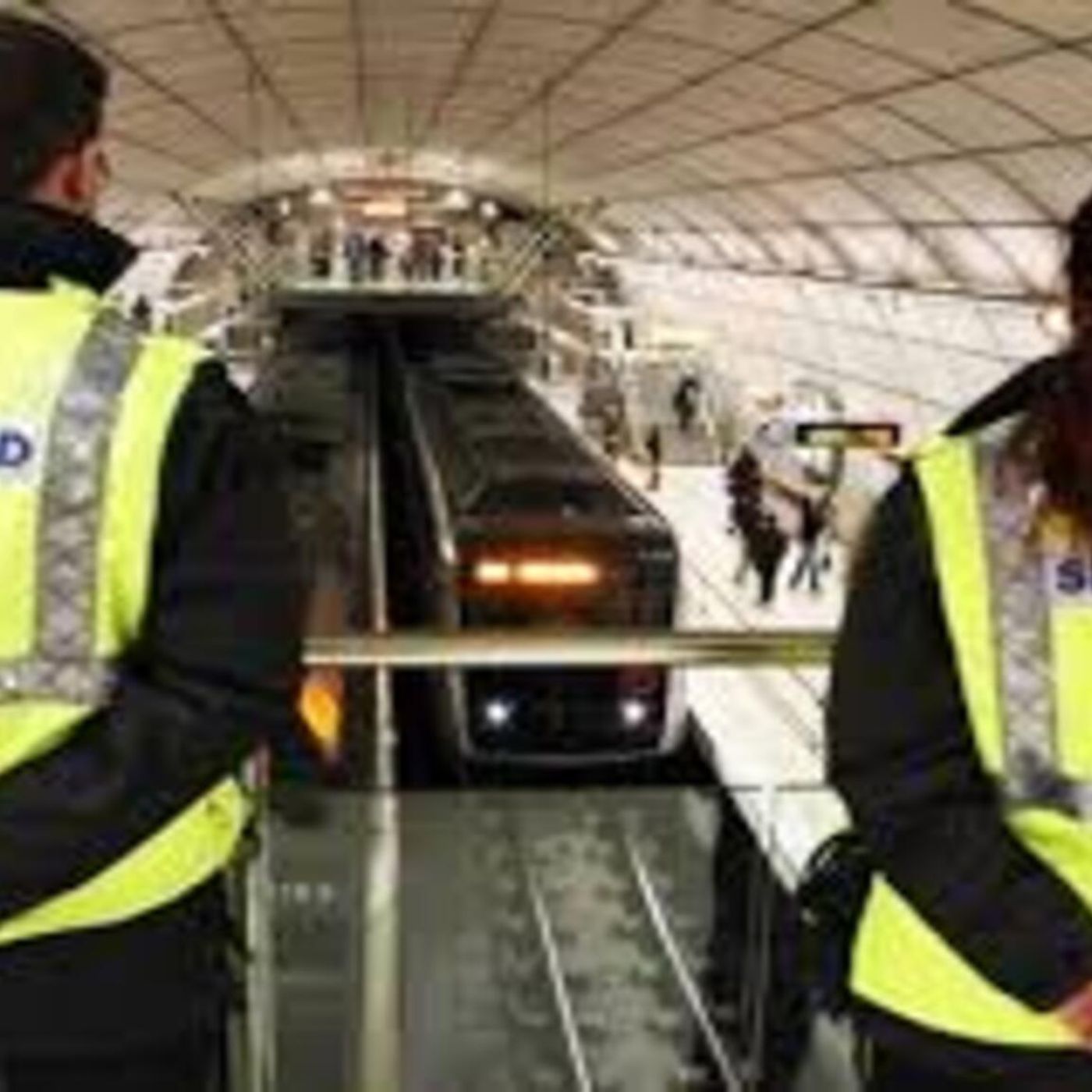 Seguridad Ferroviarias y seguridad privada