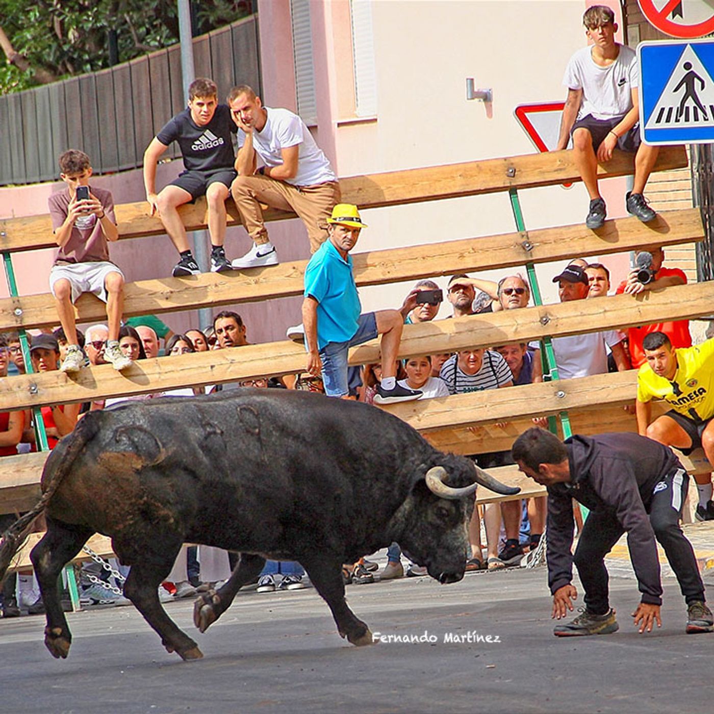 Hablemos de Toros