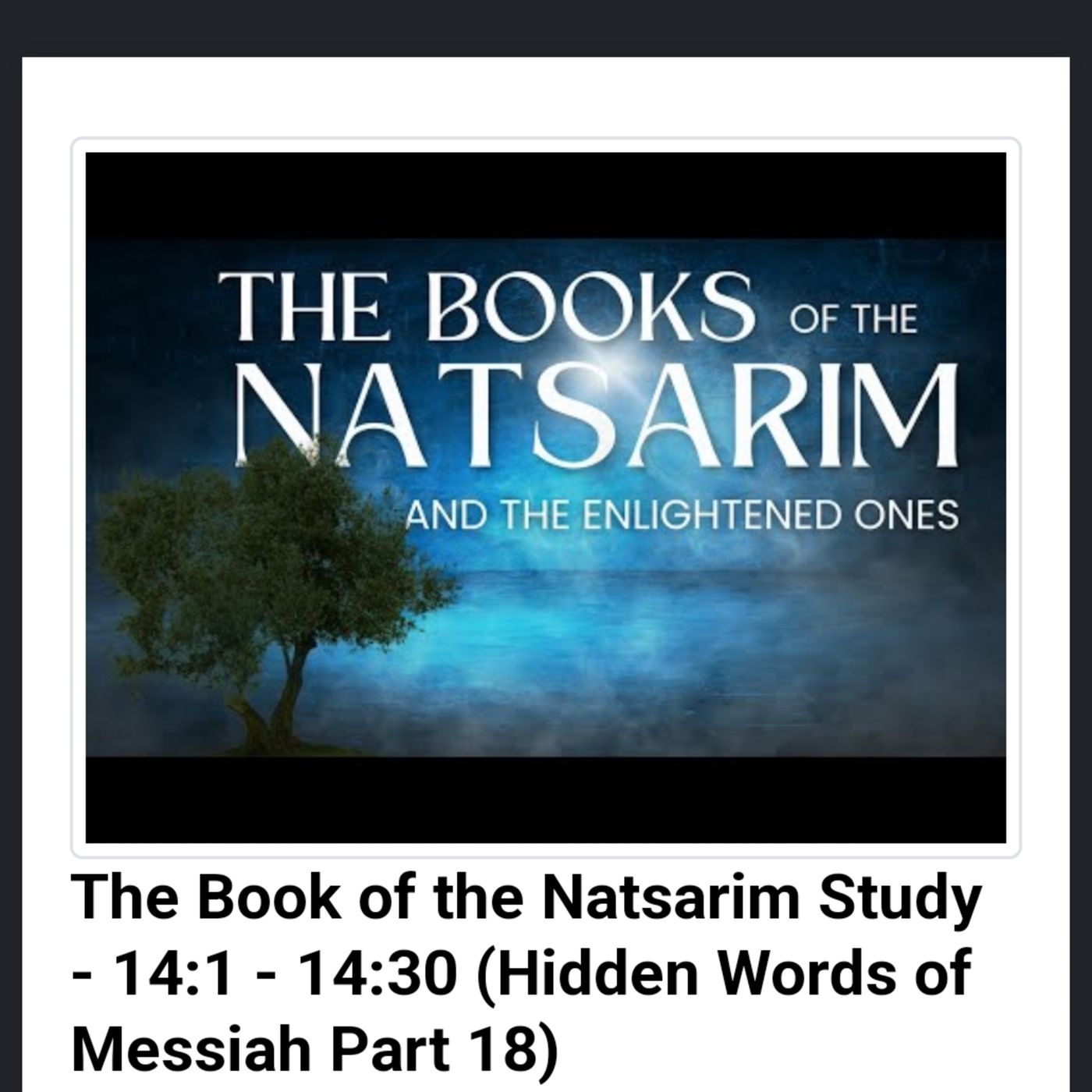 The Book of the Natsarim Study - 14:1 - 14:30 (Hidden Words of Messiah Part 18) episode artwork