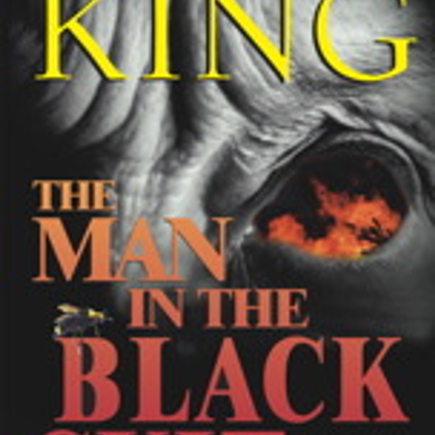 The Man in the Black Suit: 4 Dark Tales by Stephen King