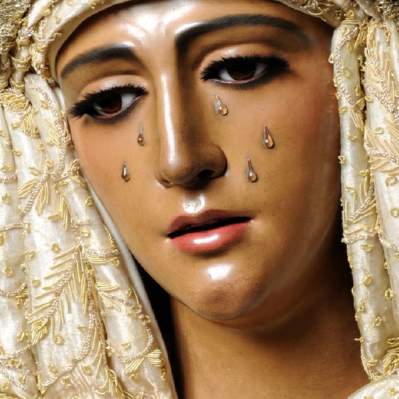 Meditaciones Y Homilías