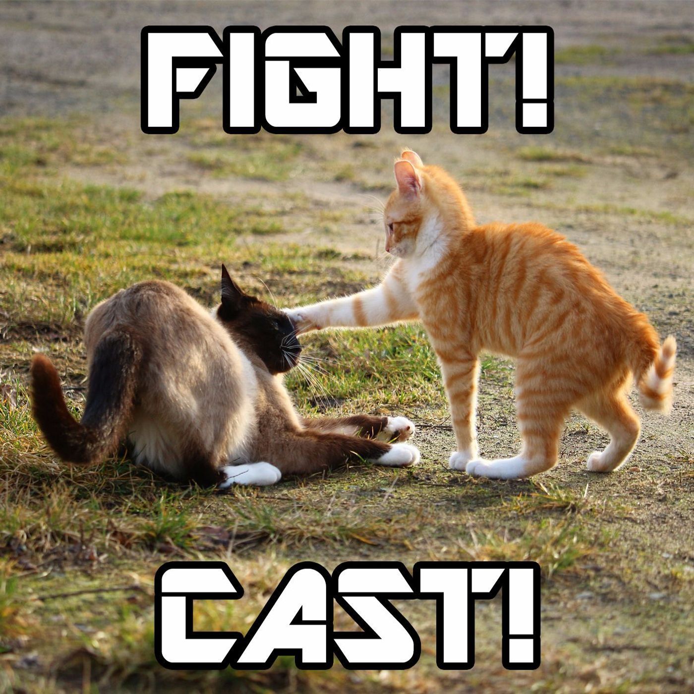 FIGHT! CAST! - Who's The Best Beatle? episode artwork