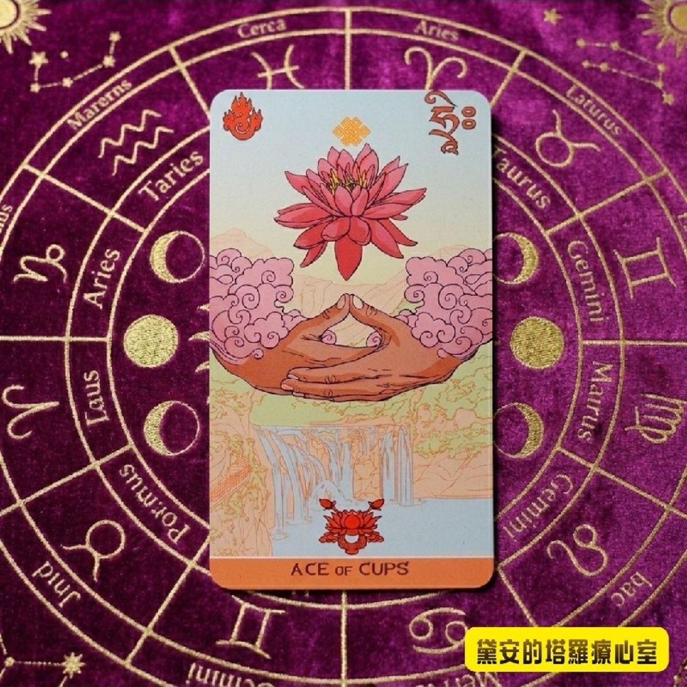 Ep569 - Diane's Tarot Diary: 我的塔羅日記🪷牌卡開箱•悉達多塔羅牌-8(聖杯一)