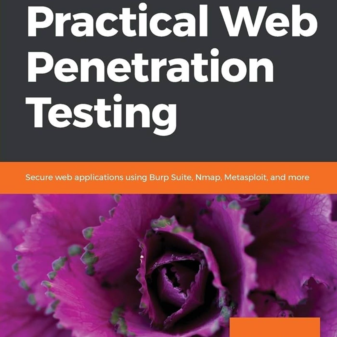 Practical Web Penetration Testing