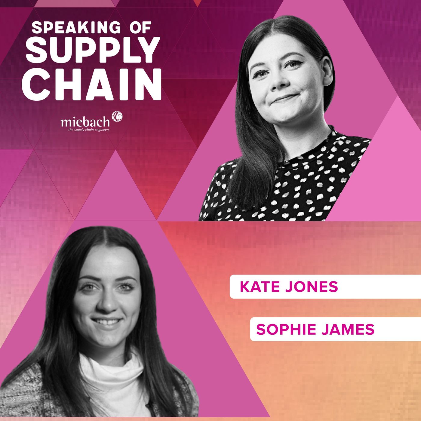 Speaking of Supply Chain