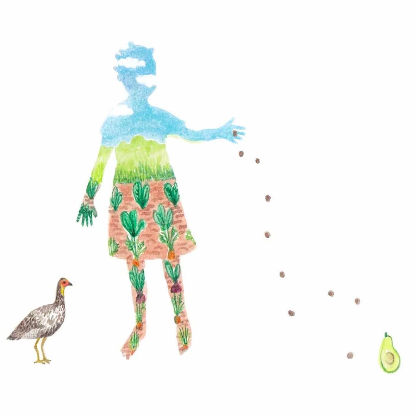 A Tiny Seed | African Folk Tales episode artwork