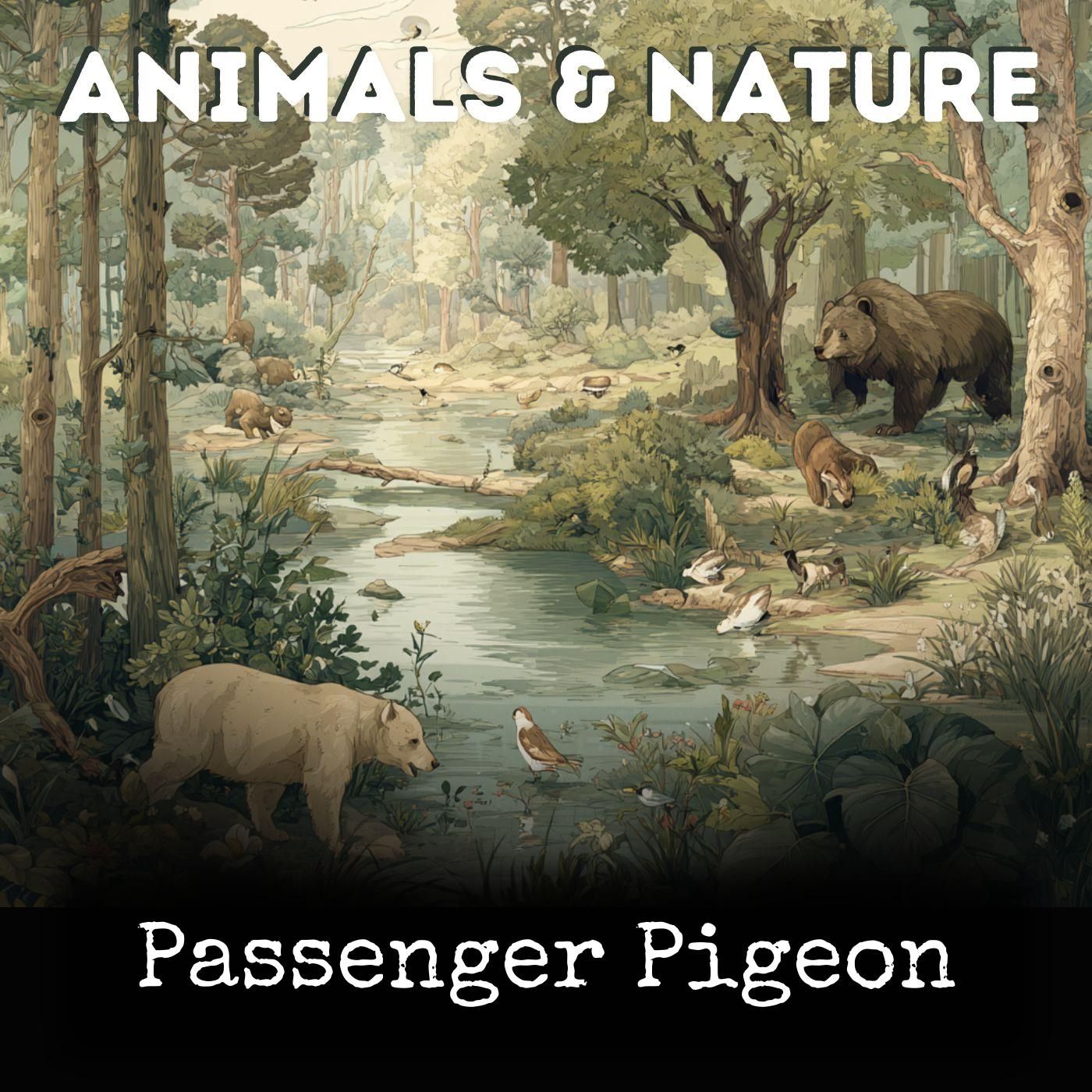 Passenger Pigeon cover art