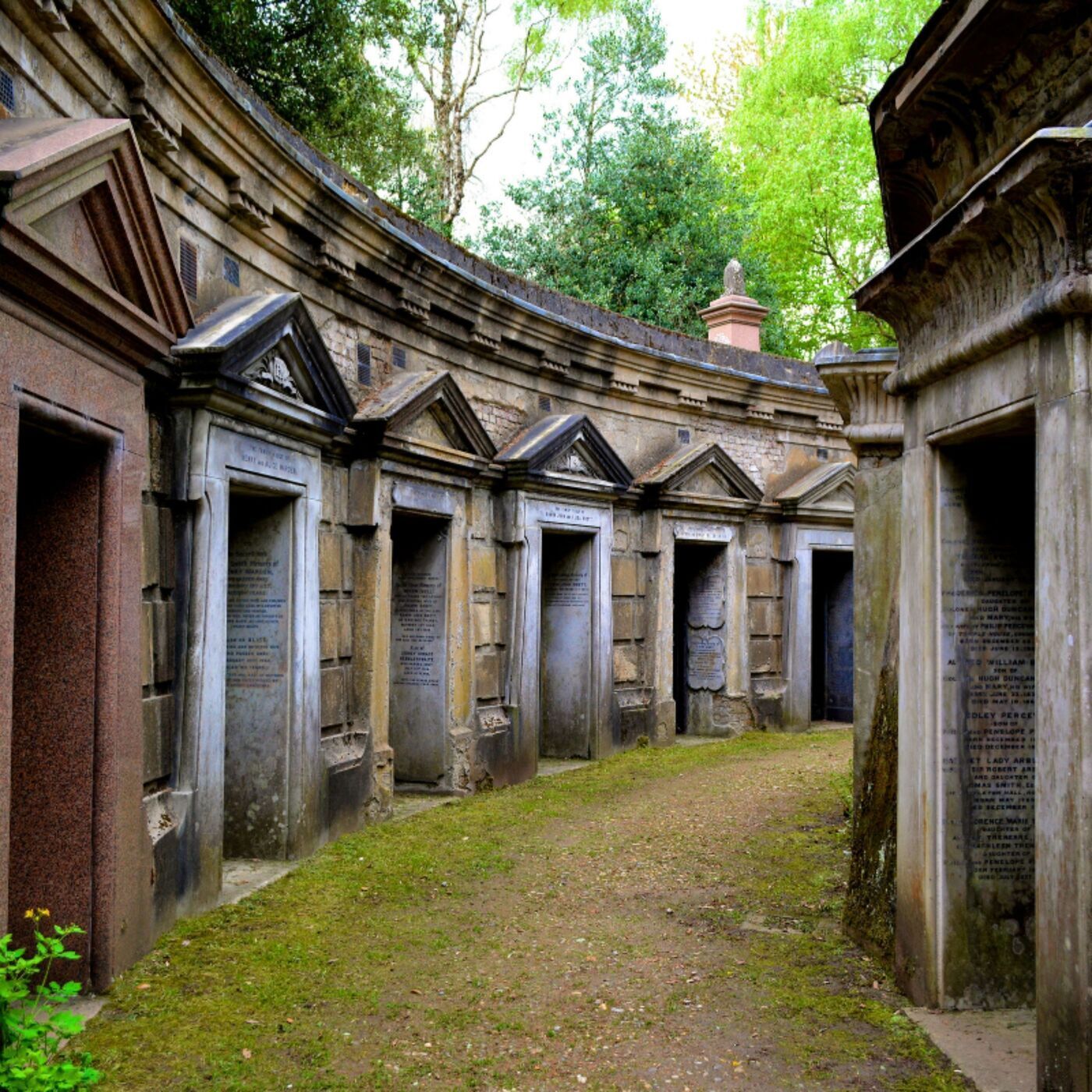 cover of episode S7: Necropolis London and It’s Dead