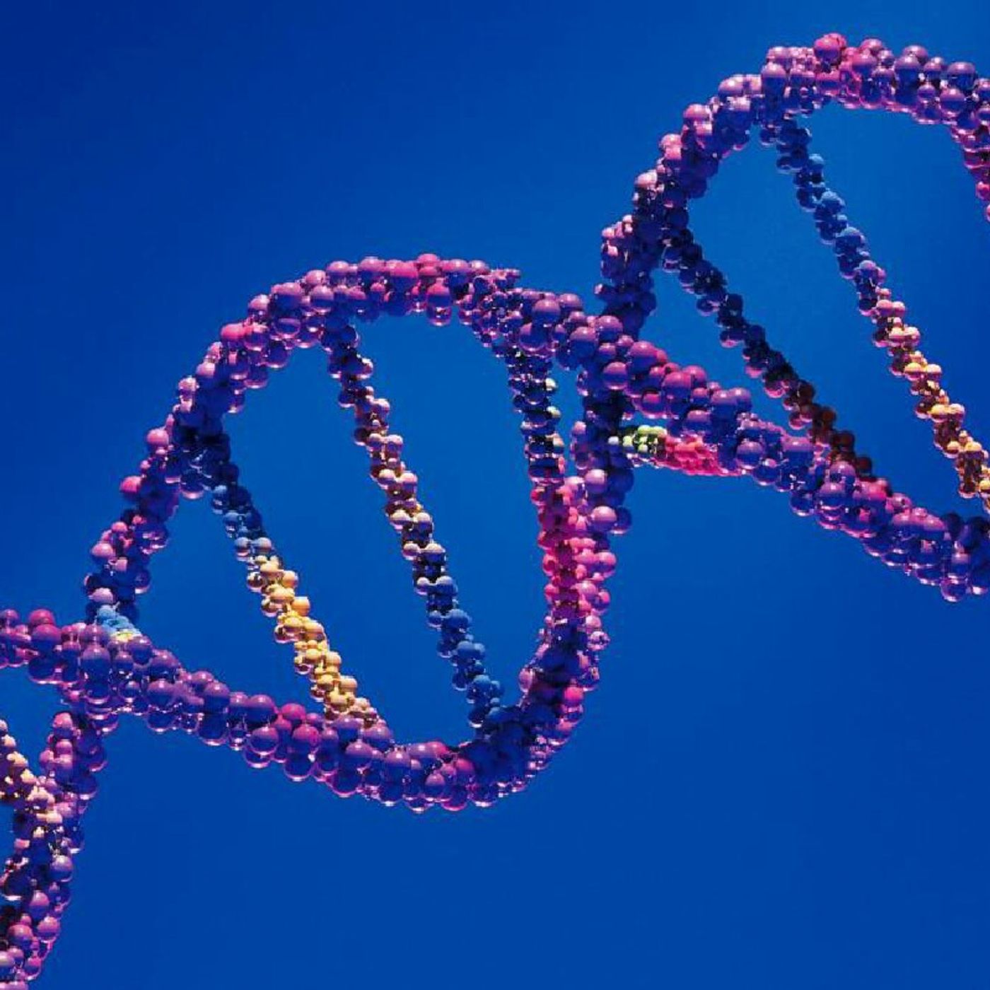 Radio Genética El Mirador De La Sierra