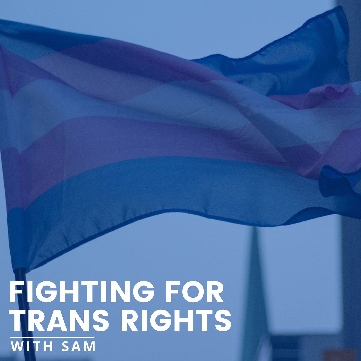 Fighting for Trans Rights episode artwork