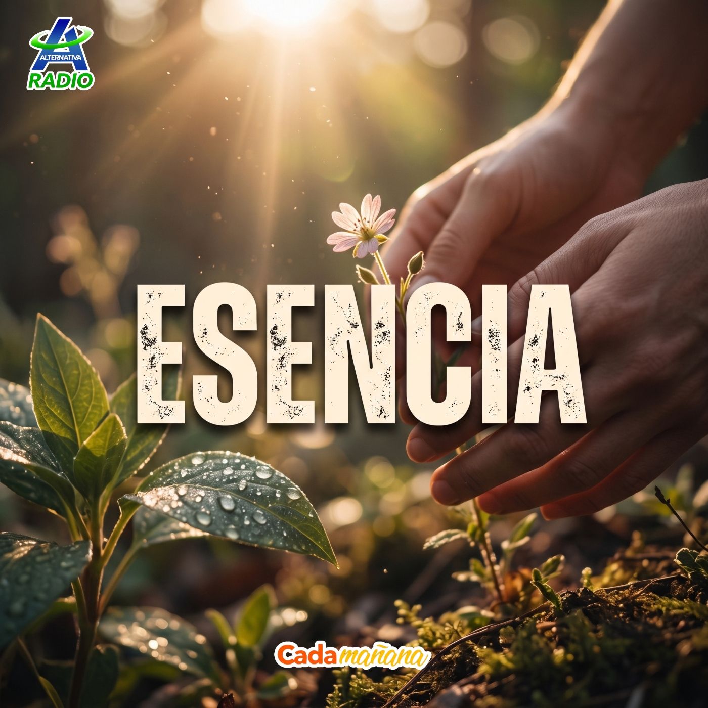 Esencia episode artwork