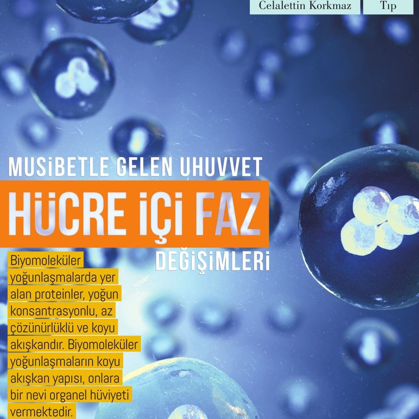 Hücre İçi Faz Değişimleri episode artwork