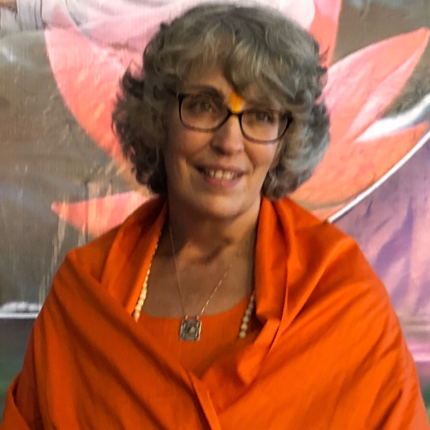 Silence. A Wisdom Circle Satsang with Swamini Shraddhananda Saraswati 11/10/19 episode artwork