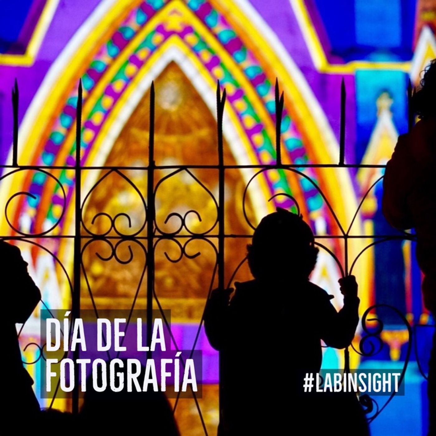 LabInsight