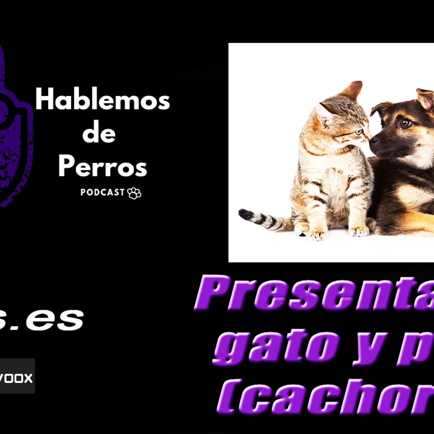 Hablemos de perros