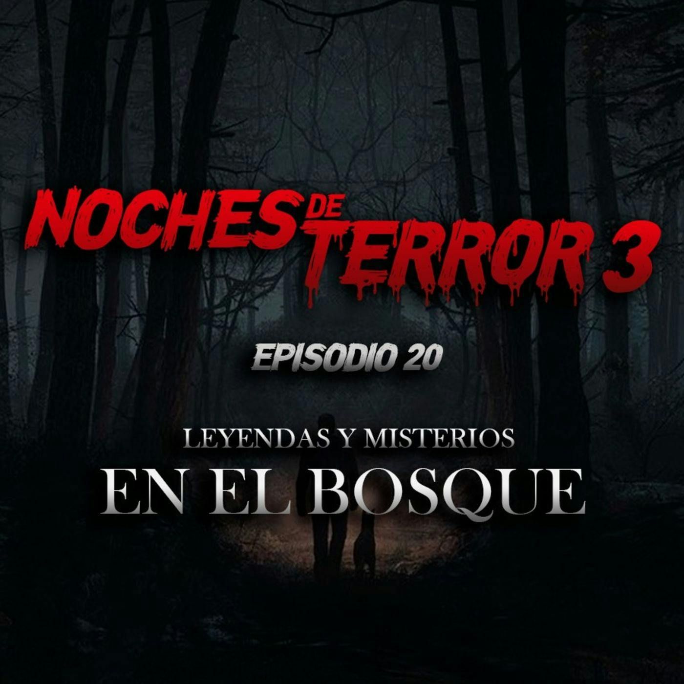 T3 Episodio 20: Leyendas y Misterios en el Bosque episode artwork