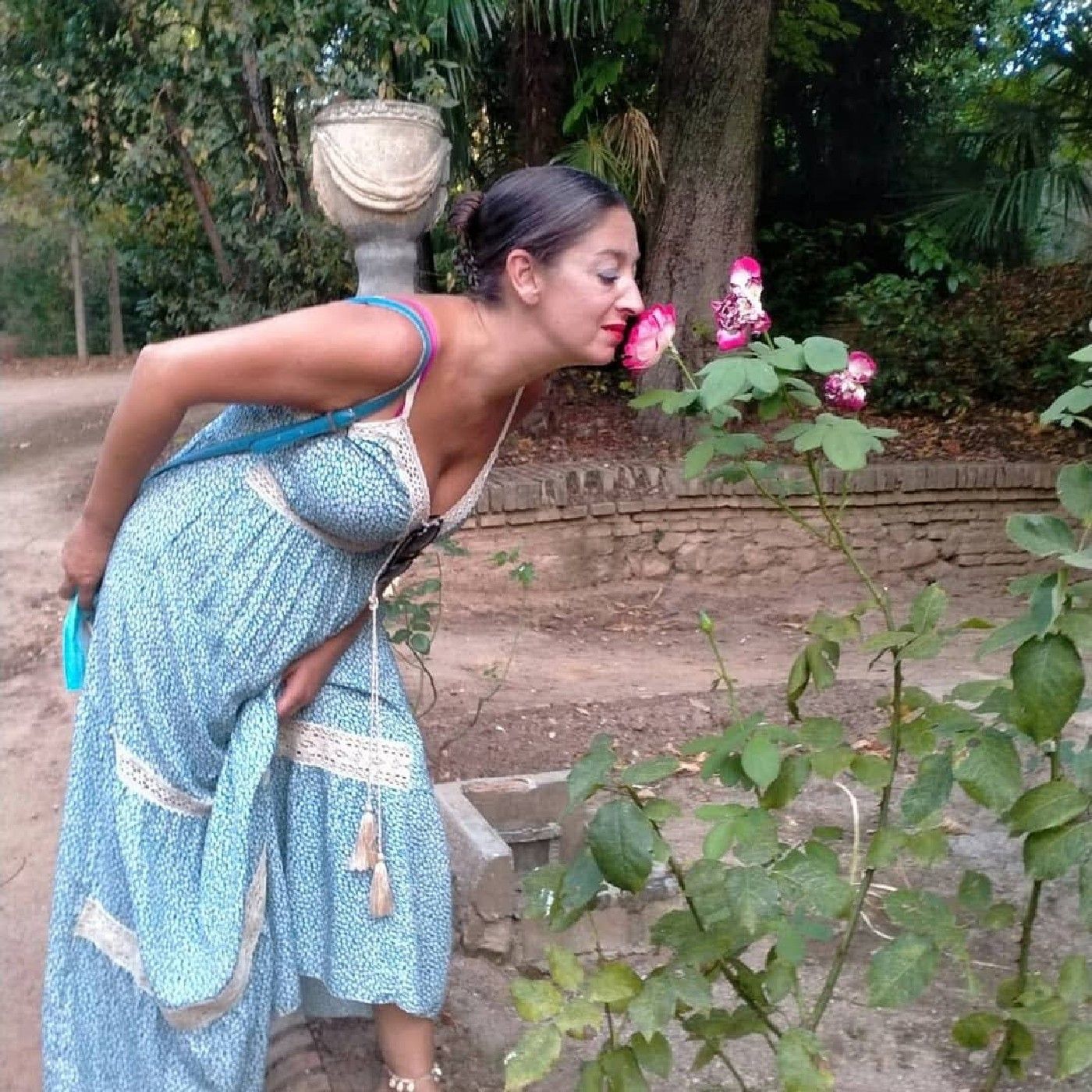 Efecto Mariposa