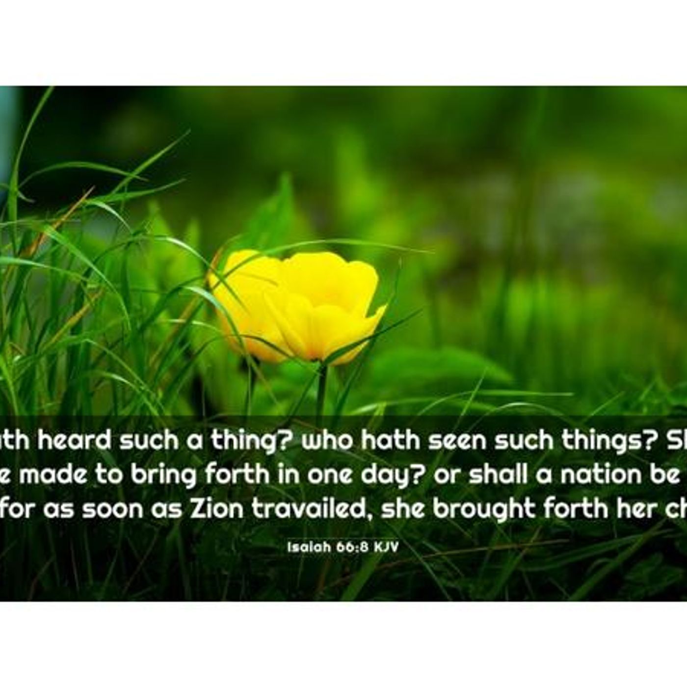 Can A Thousand Member Church Be Established In One Day? (Pt 1) - S21 [B385] episode artwork