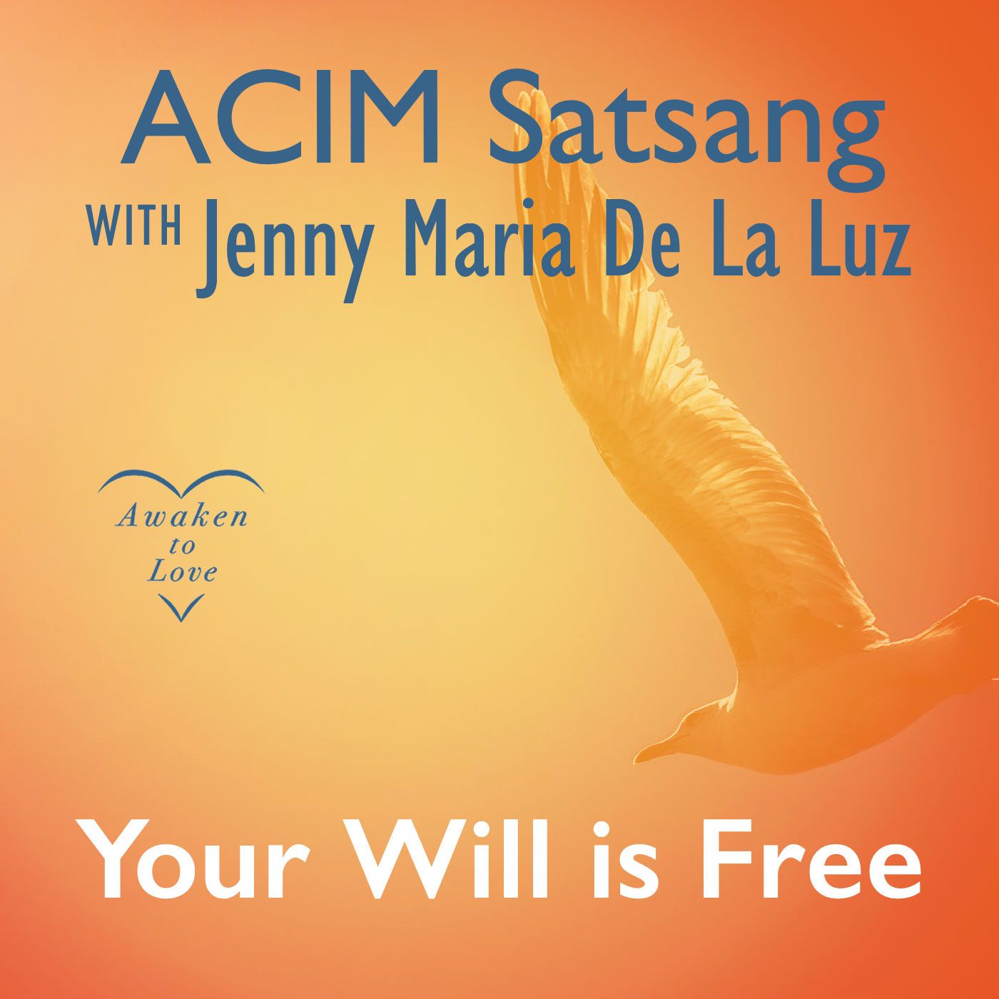 Your Will is Free, A Course in Miracles, ACIM Satsang 🌟