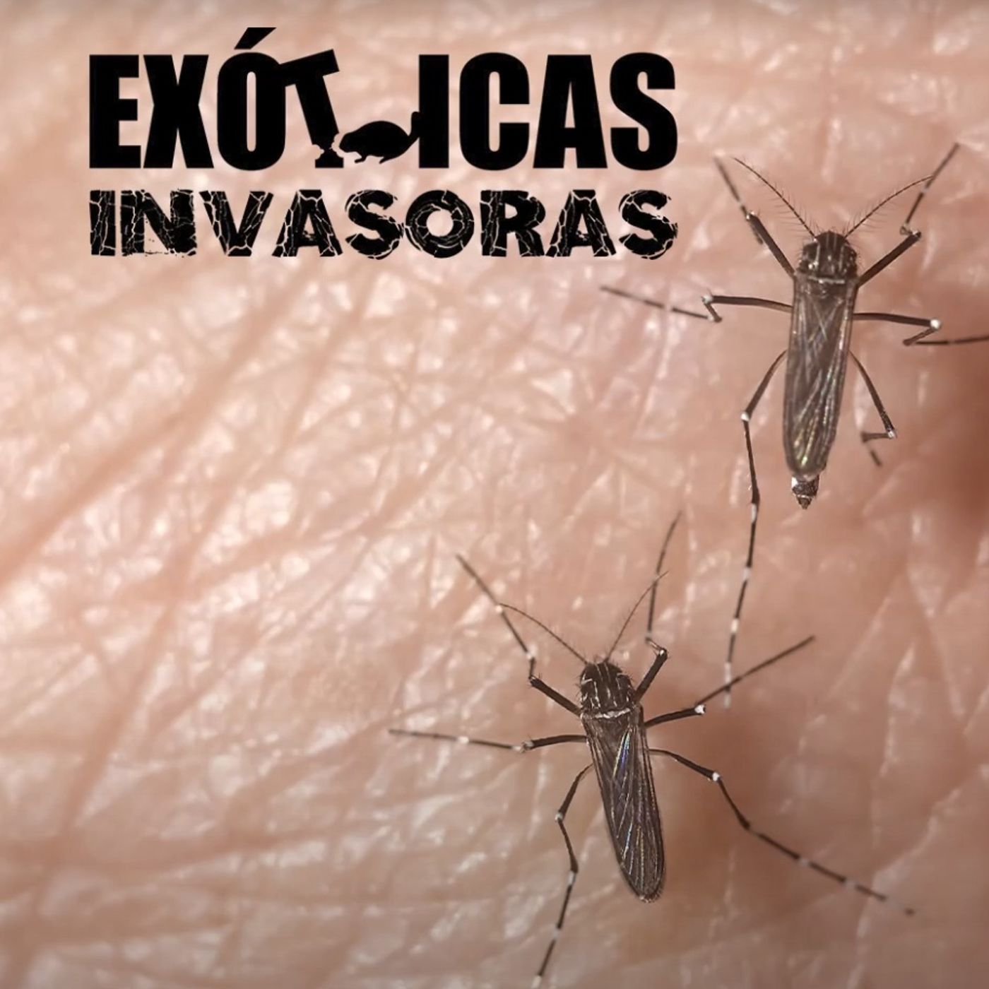 La Amenaza Silenciosa
