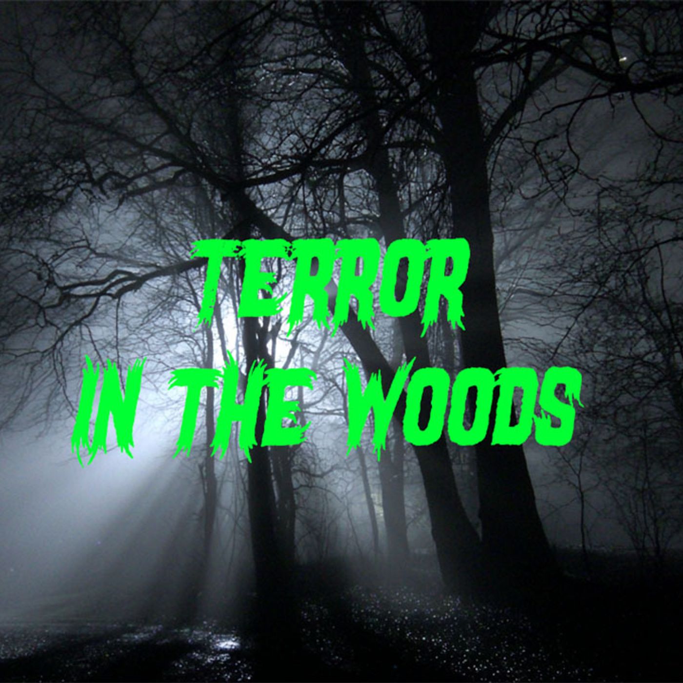 Terror in the Woods - A Haunting Alien Abduction Story