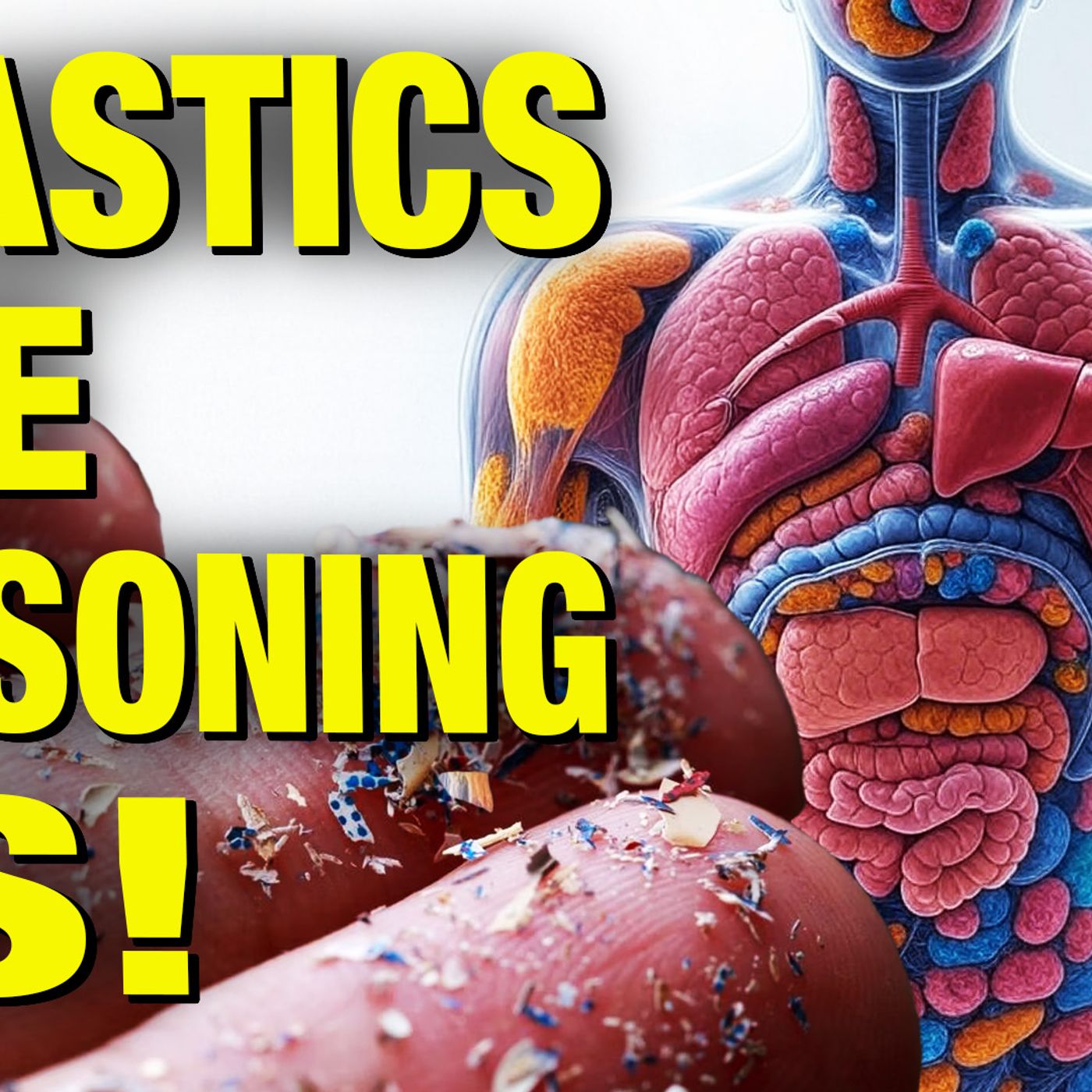 Here’s How To Fight Microplastics  Infecting Our Bodies & Brains! w/ Kim Bright episode artwork