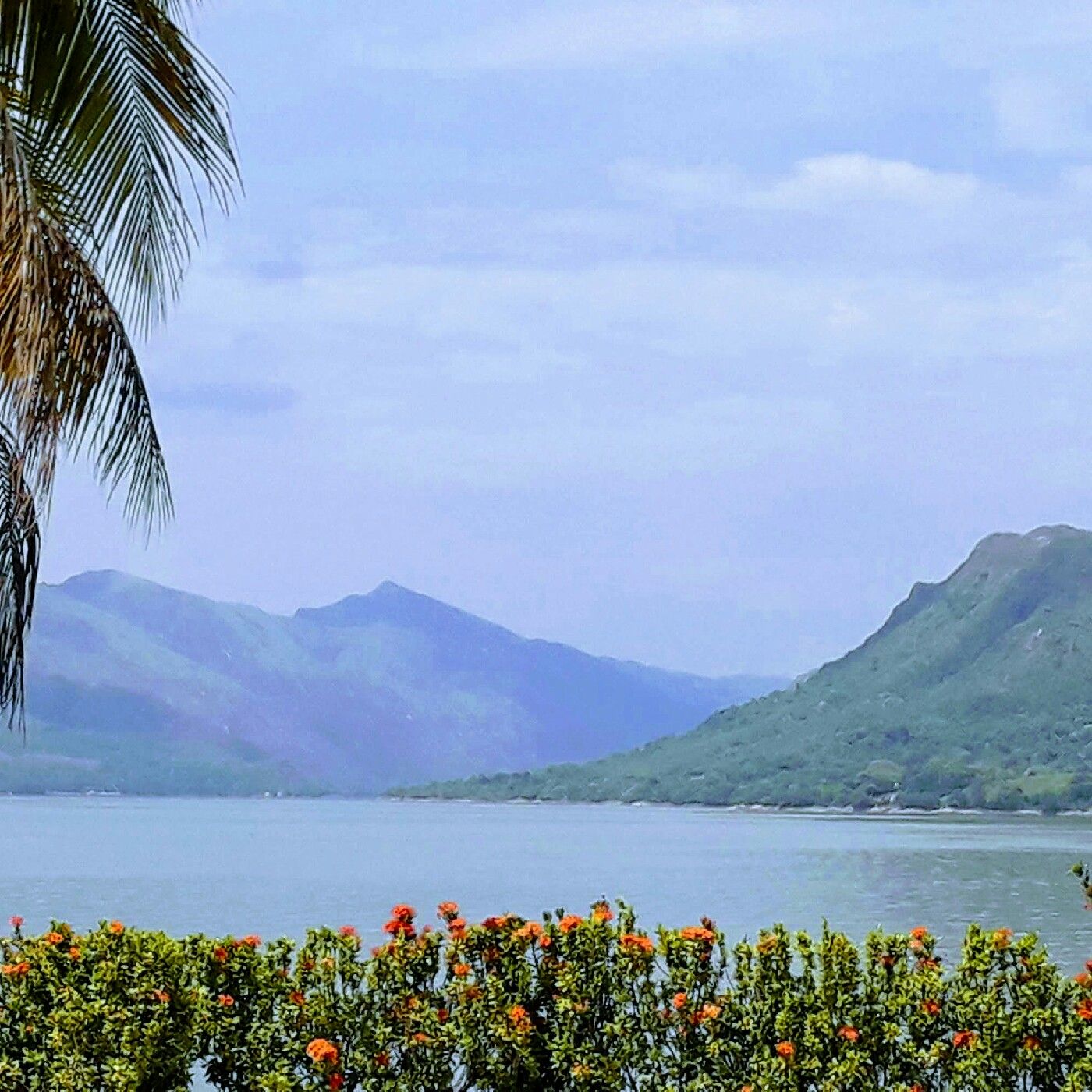 Celebremos Su Gloria