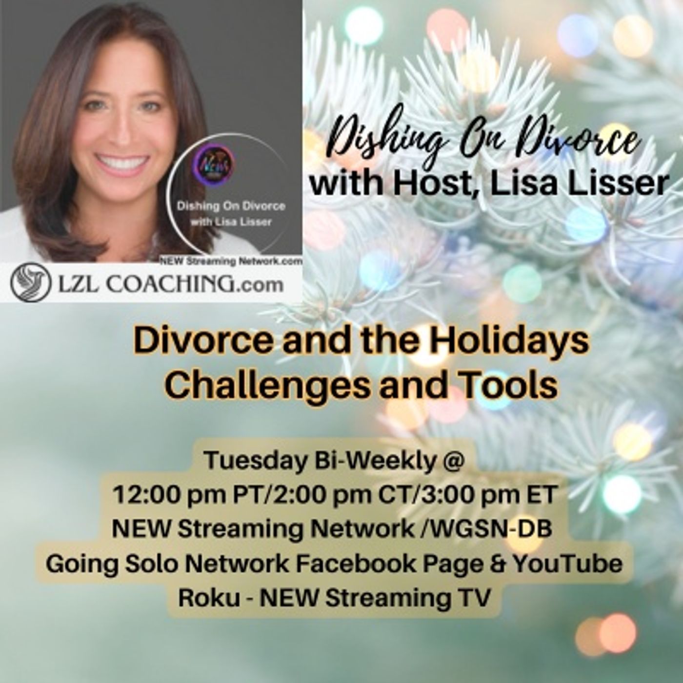 Divorce and the Holidays Challenges and Tools with Host Lisa Lisser episode artwork