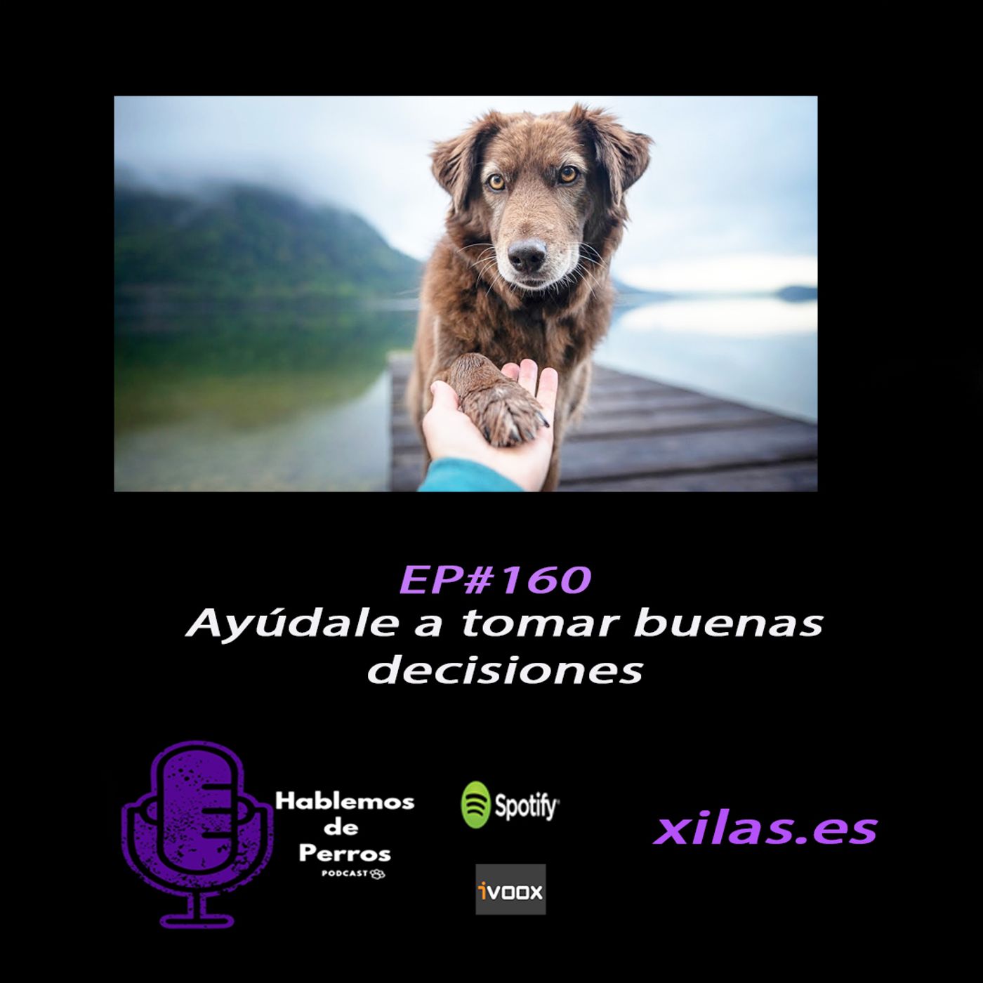 Hablemos de perros
