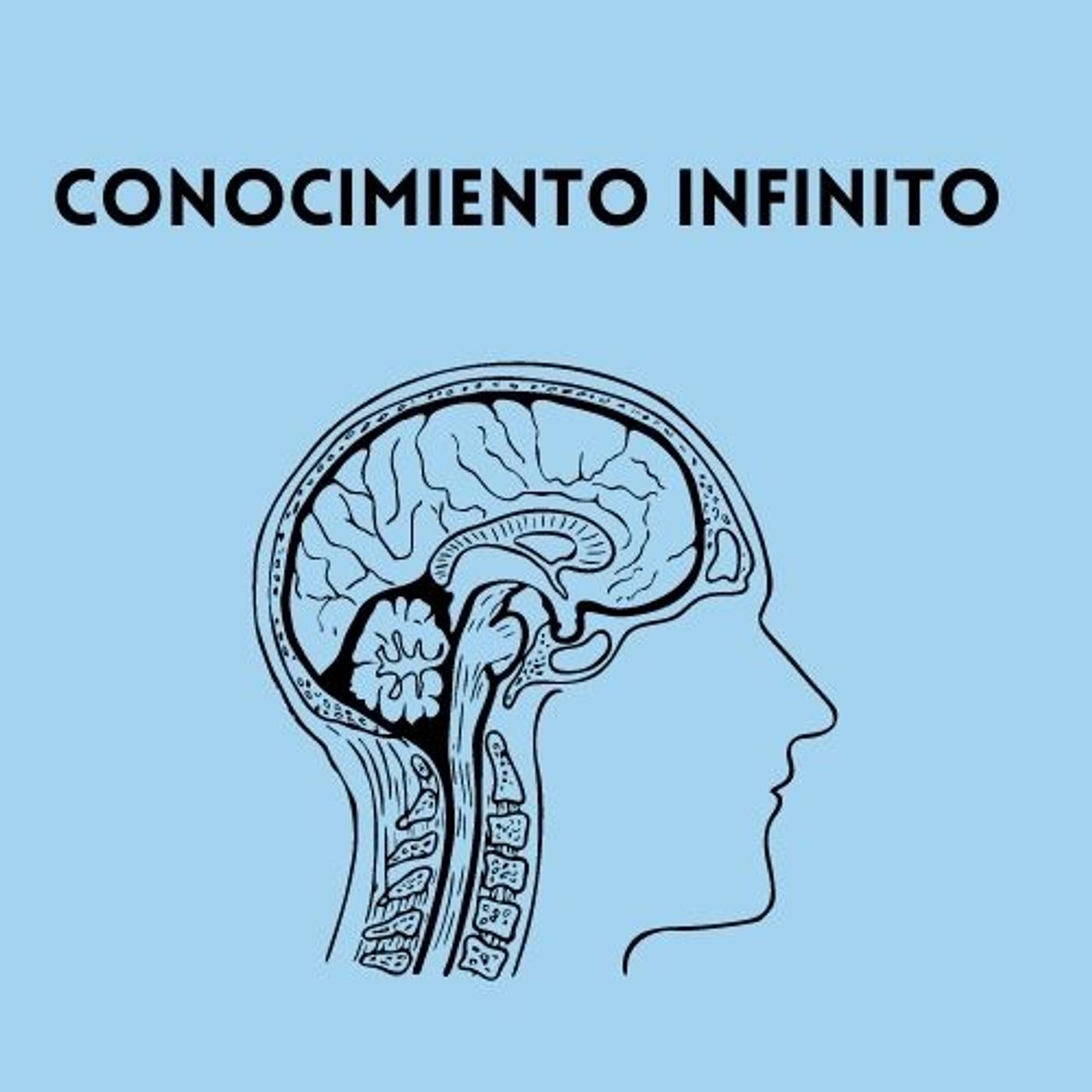 Conocimiento infinito
