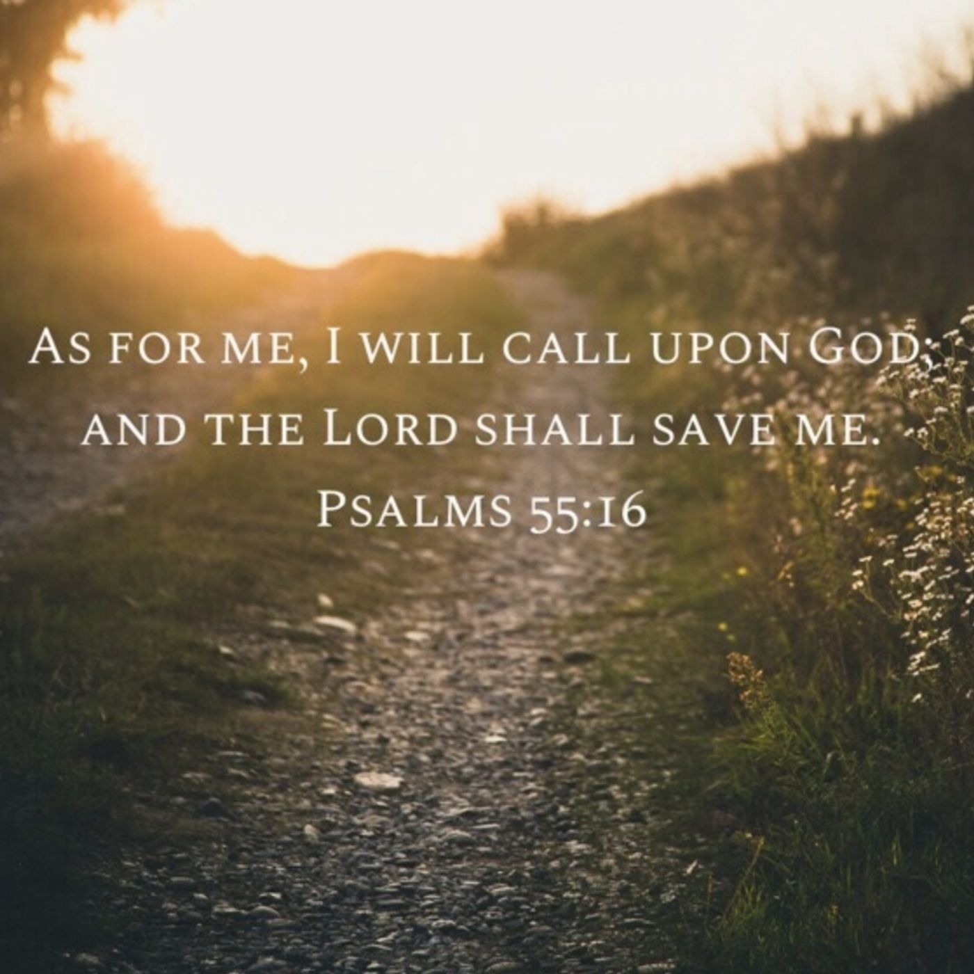 Psalms chapter 5